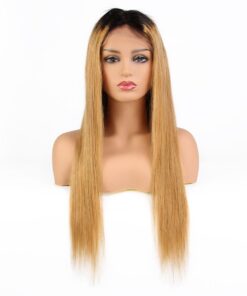 ombre_silk_straight_lace_wig_1b27_1.jpg